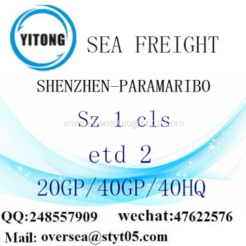 Shenzhen Port Sea Freight Shipping To Paramaribo